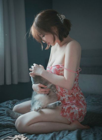 喜羊羊与灰太狼之跨时空救兵